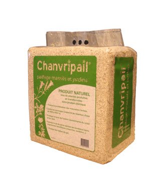 Chanvripail