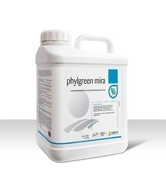 Engrais liquide Phylgreen® 10 litres (l) 10 kg