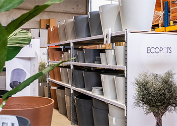 pots_ecopots_sonofep