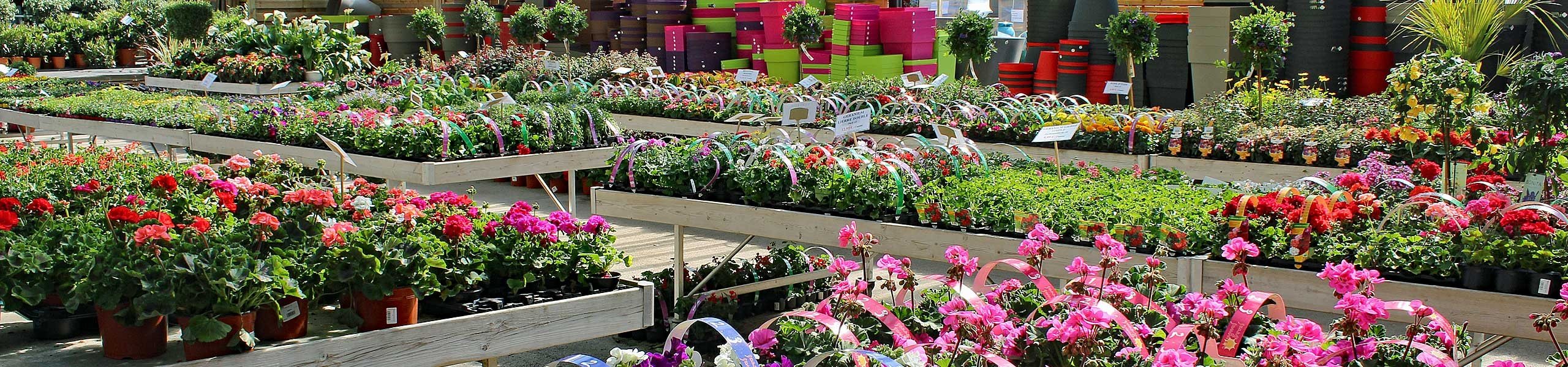 Marché au fleurs de la Sonofep