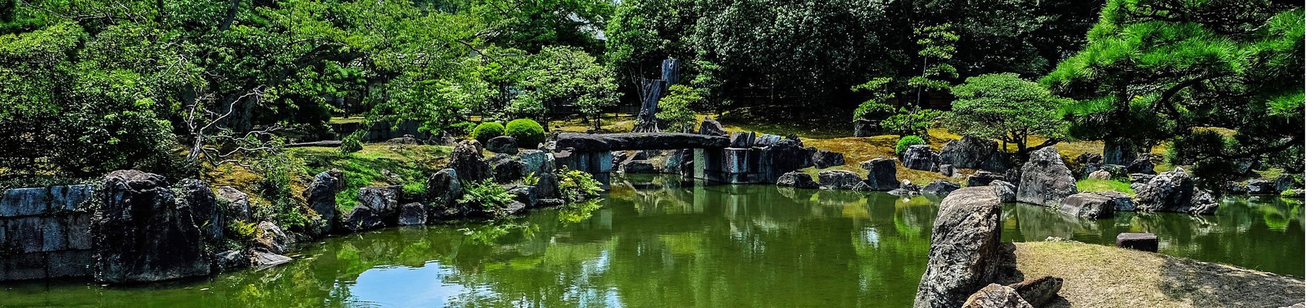 Jardin japonais