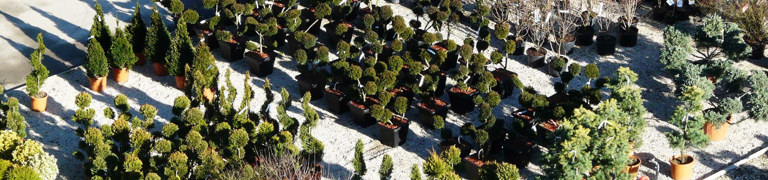 Vue aérienne pépinière Sonofep