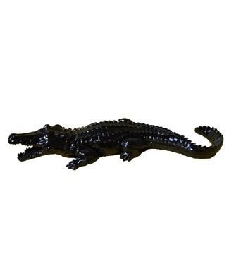 Crocodile noir Noir L 116 x h 25