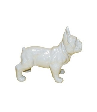 Bouledogue français  Blanc L 47 x h 37