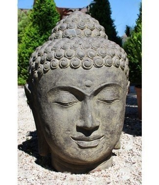 Tête de Bouddha h 75