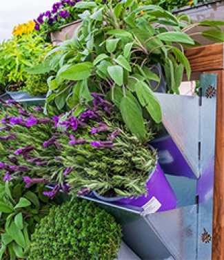 tour_jardinière_sonofep